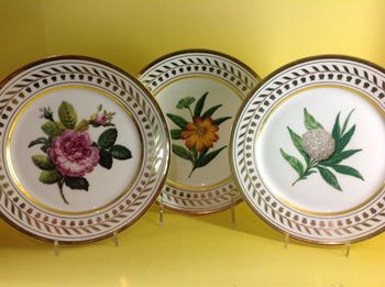 A fine set of eighteen Paris Nast botanical plates