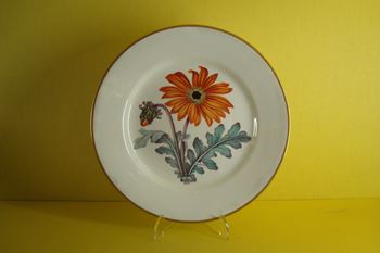 A Derby botanical plate