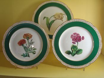 A set of ten Paris porcelain (Nast) botanical dessert plates