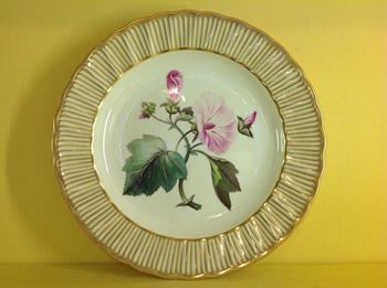 A Derby botanical plate 