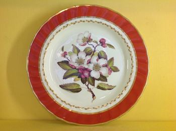 A Bloor Derby plate 