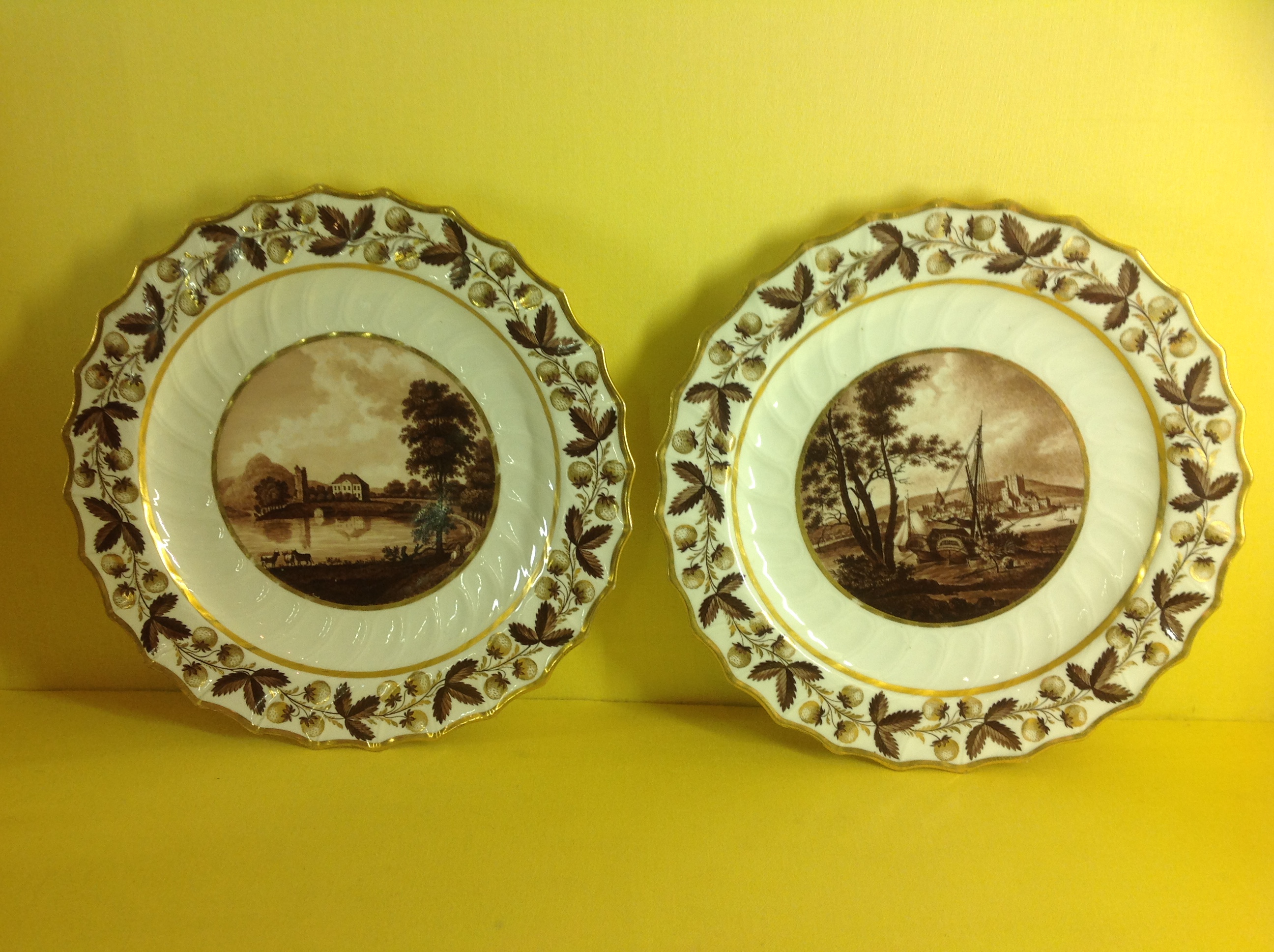A fine pair of Flight and Barr Worcester plates