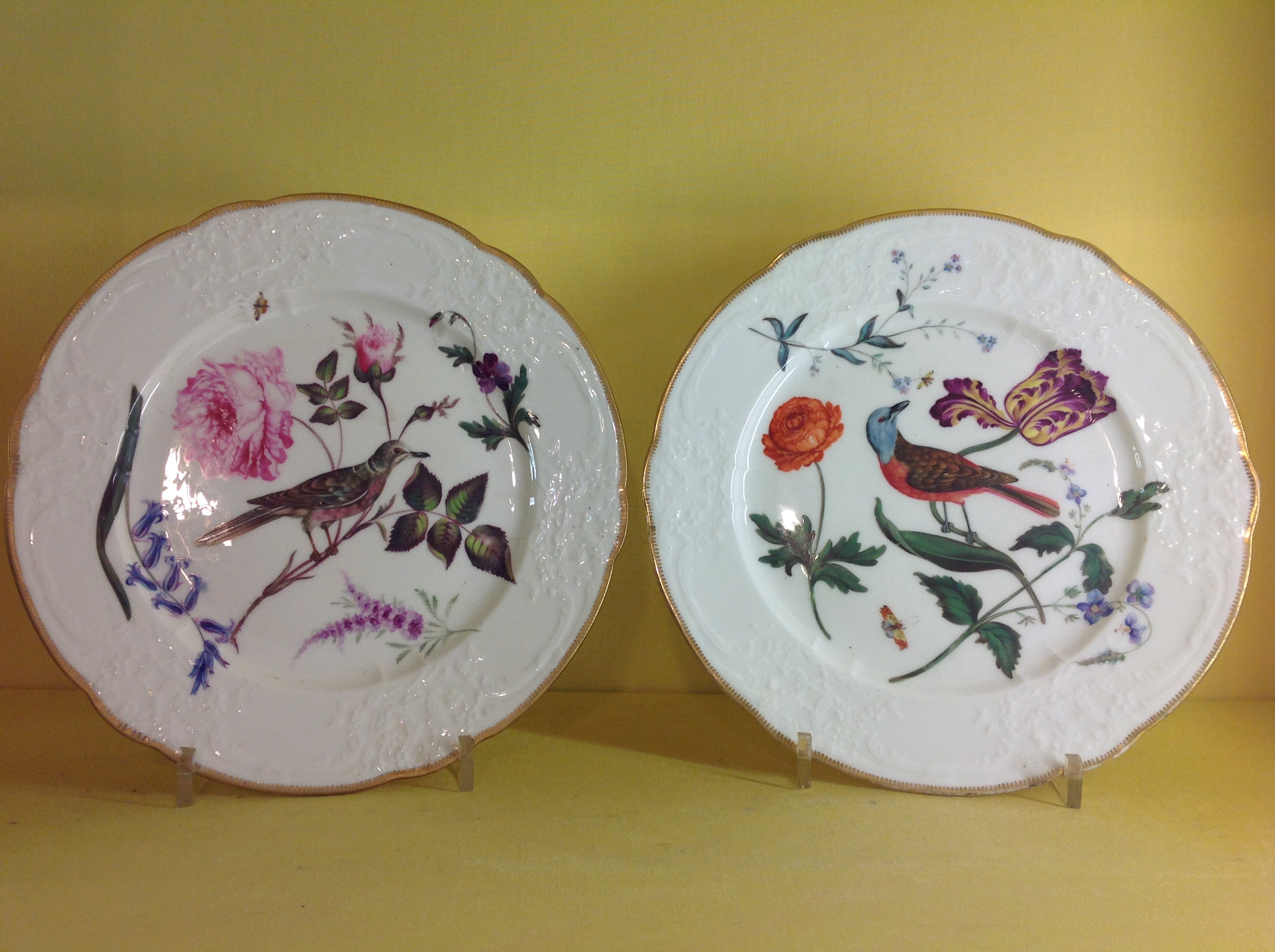 A pair of Coalport ornithological plates 