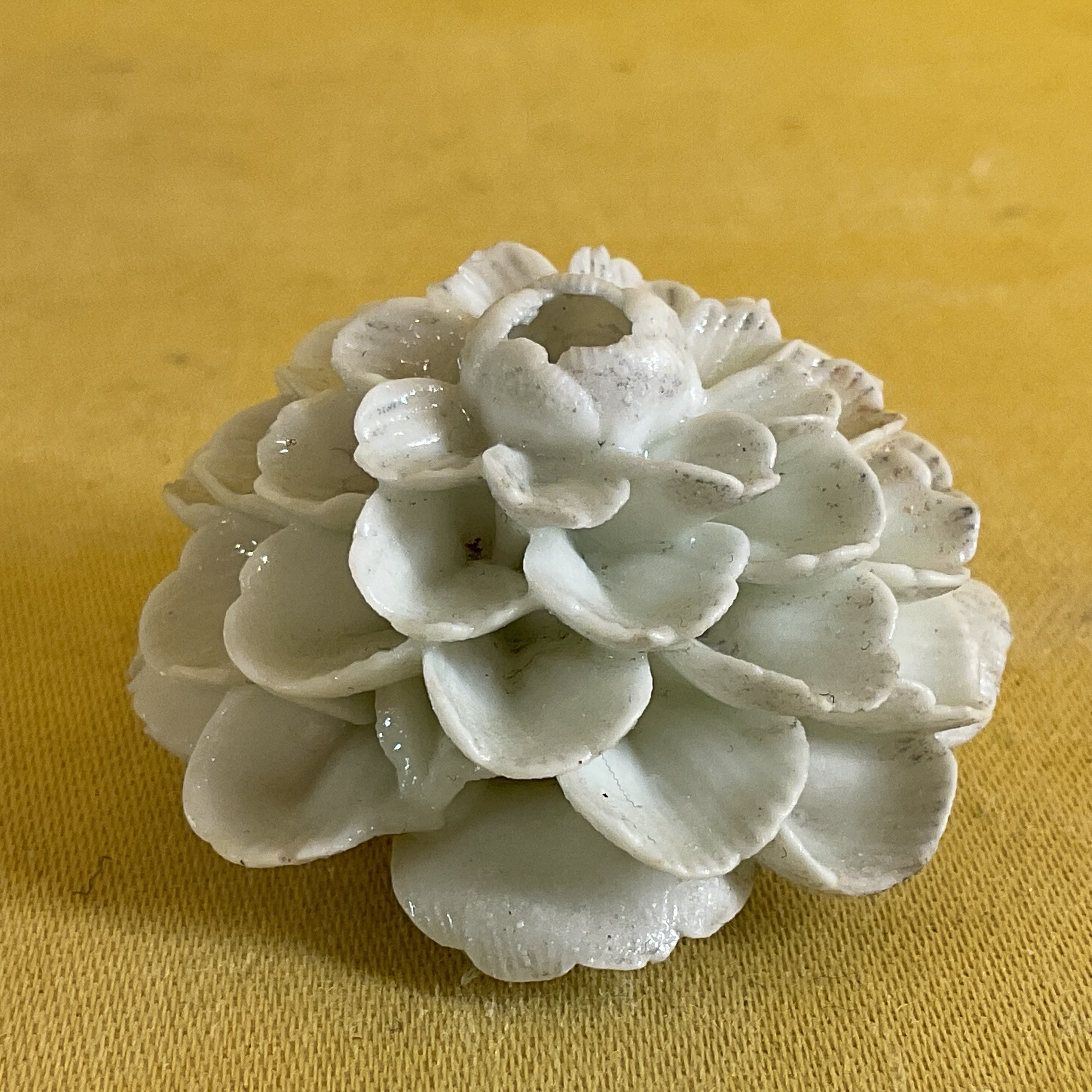 A St Cloud flower head 