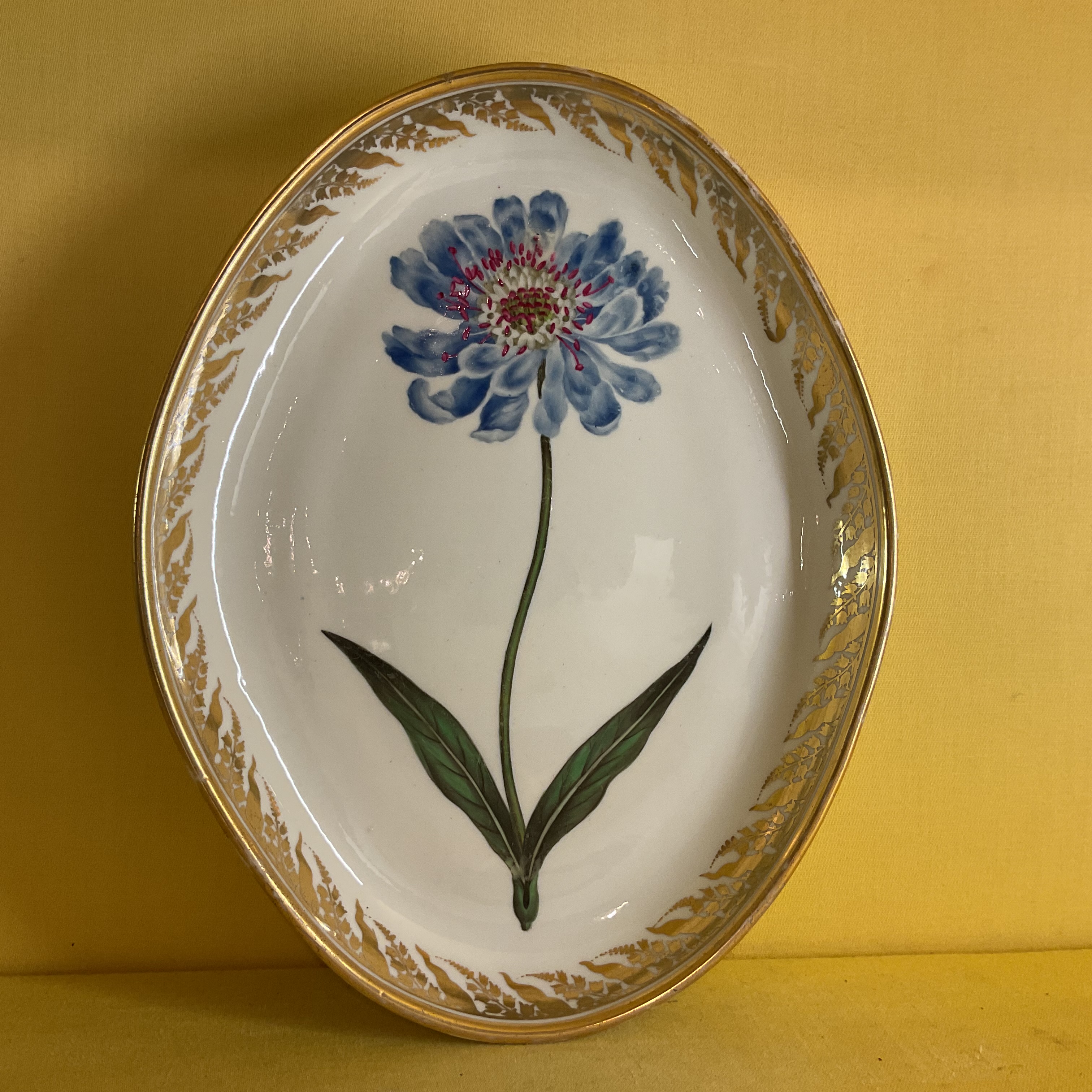 A Derby botanical oval dish 