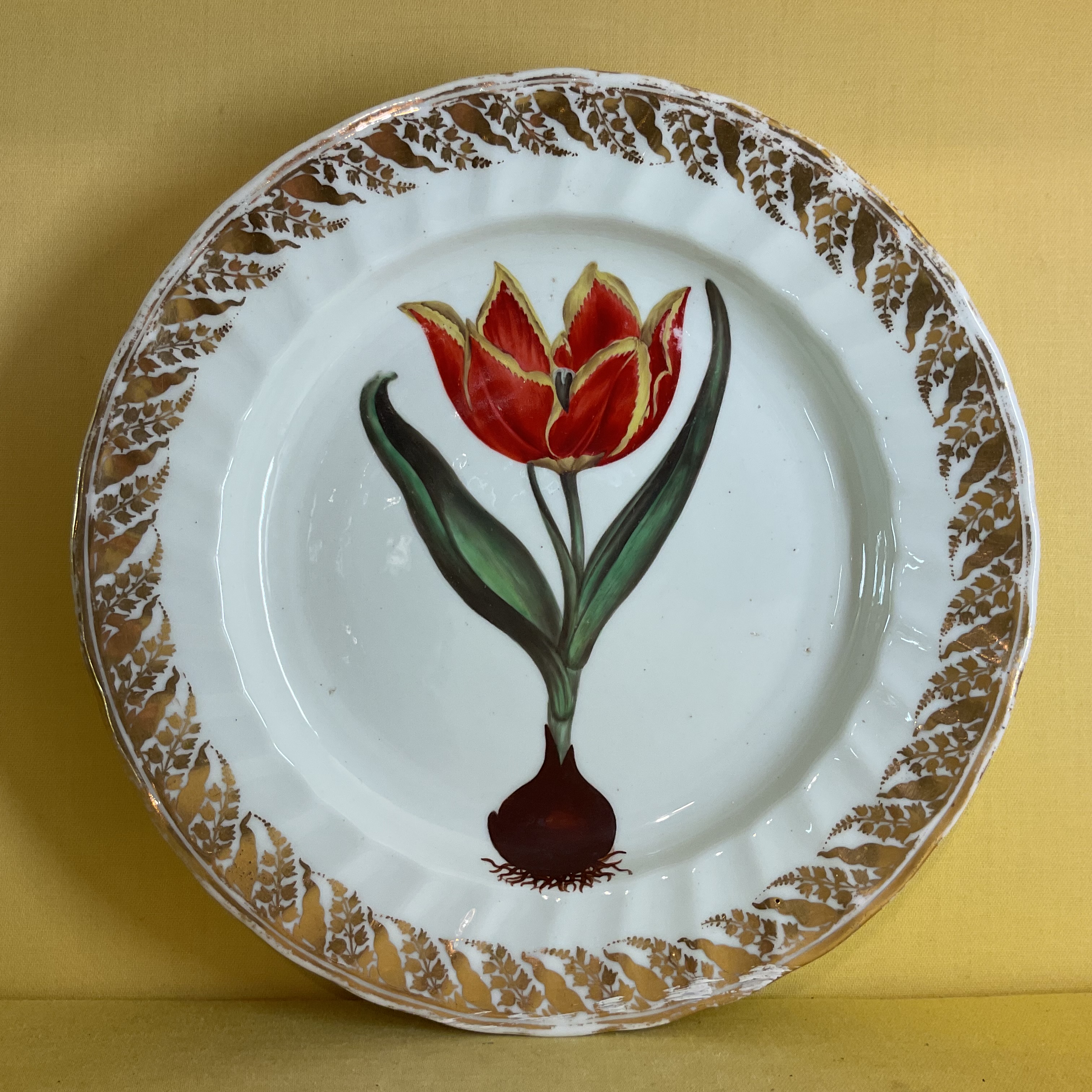 A Derby botanical plate 