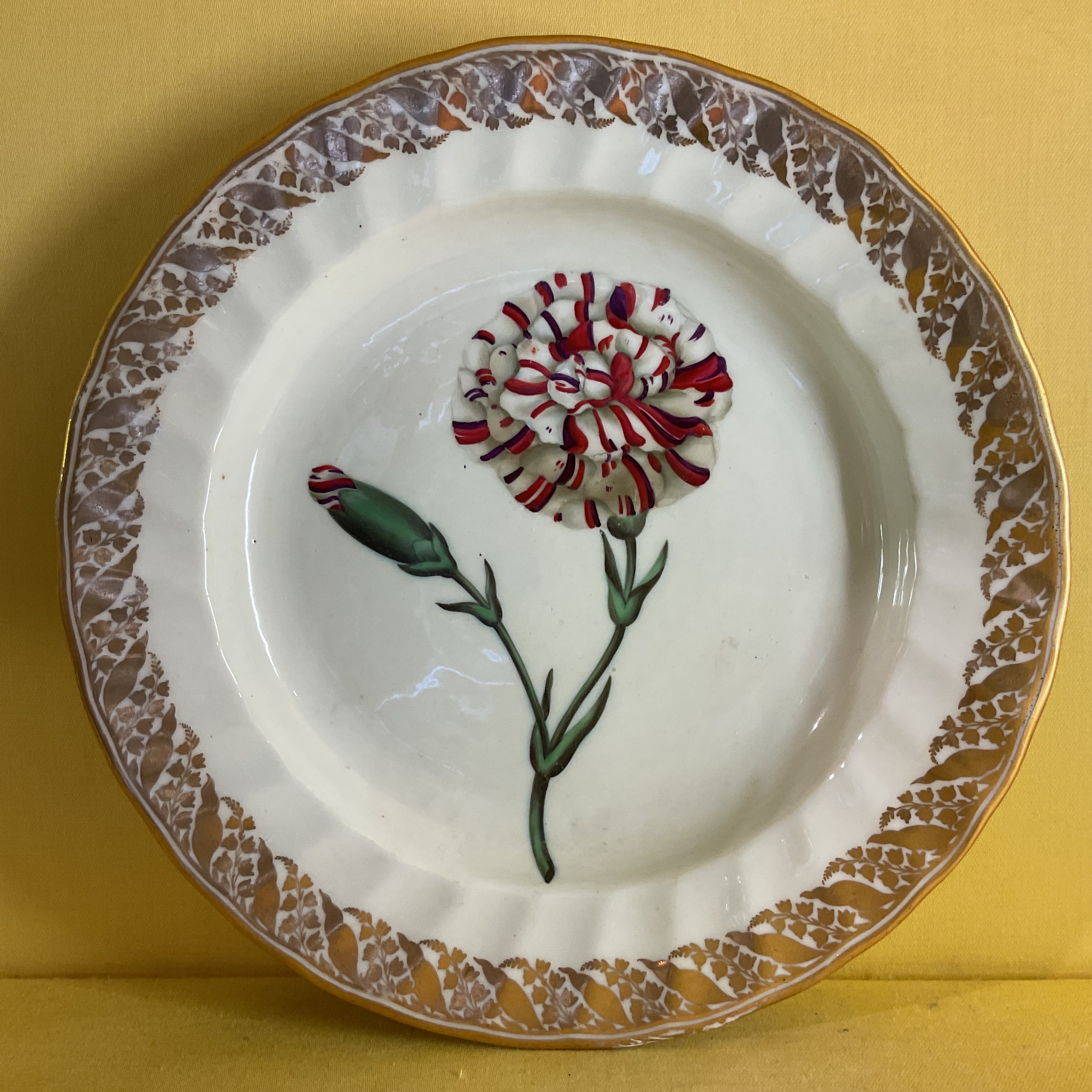 A Derby botanical plate 