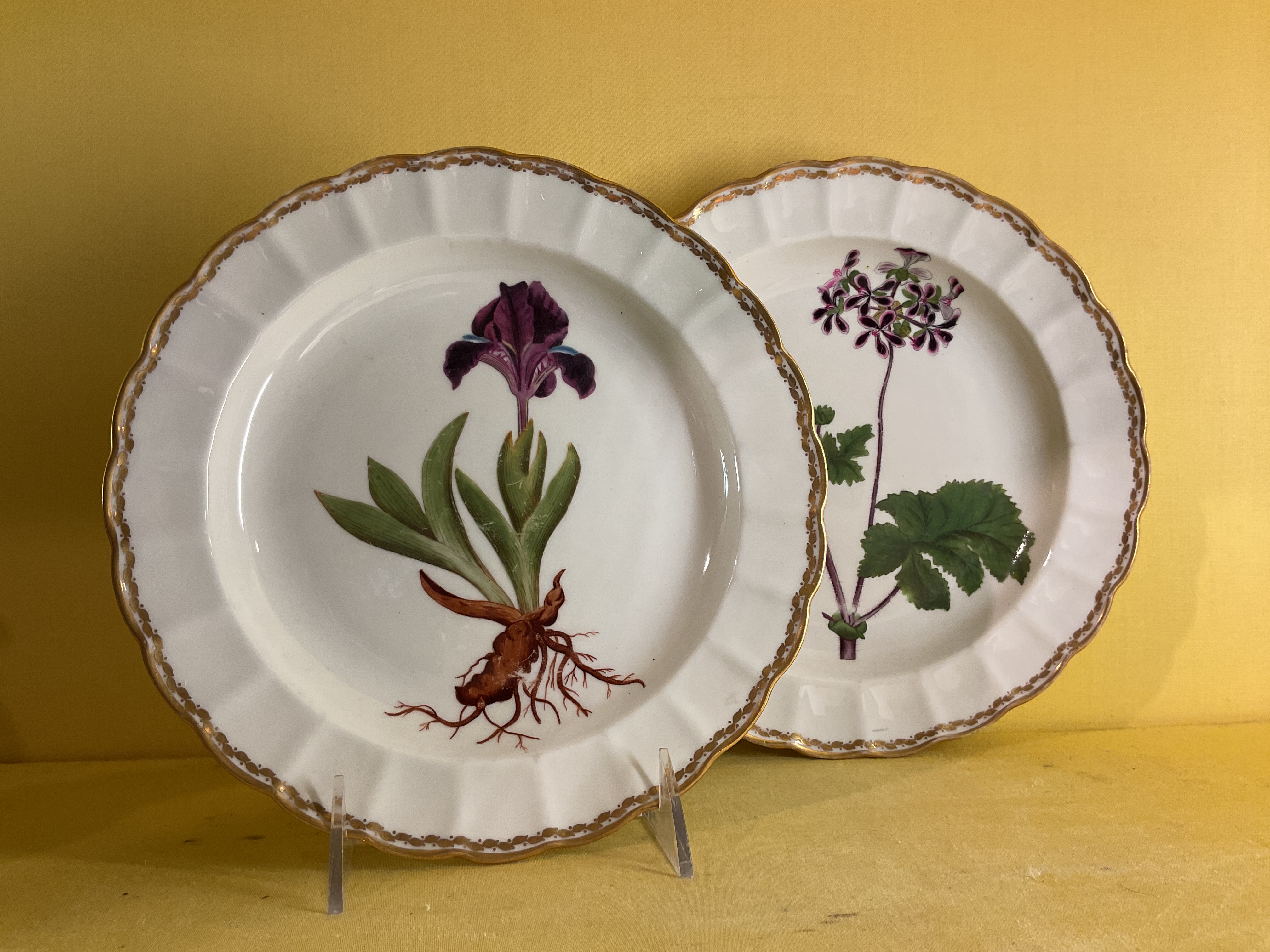 A pair of Derby botanical plates 